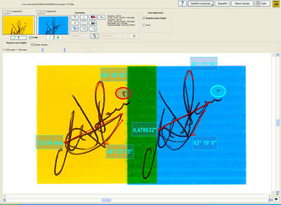 NEGA Pericia Caligráfica